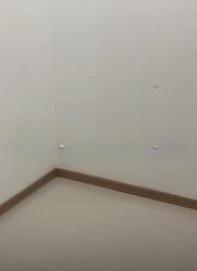 Blk 148 Gangsa Road (Bukit Panjang), HDB 3 Rooms #599799311